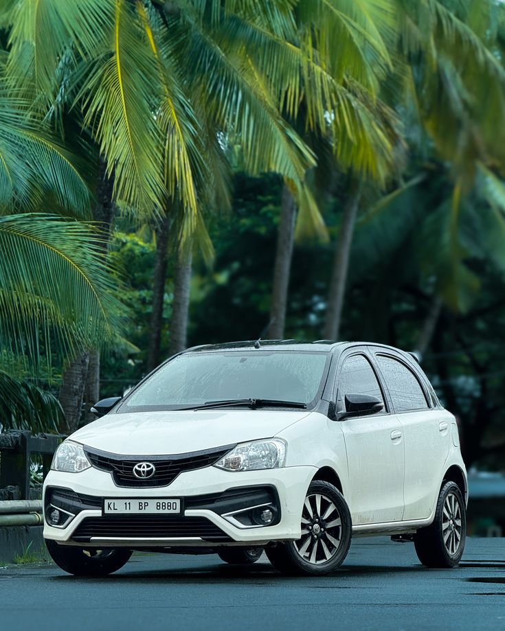 SUV Cars